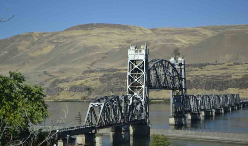 Great photos are a combination of luck and skill.  Beyond the railroad bridge is a multi-car freight train.