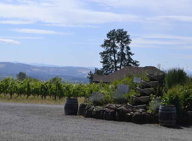 Wine barrels and a rock garden adorn spectacular views of the valley below.