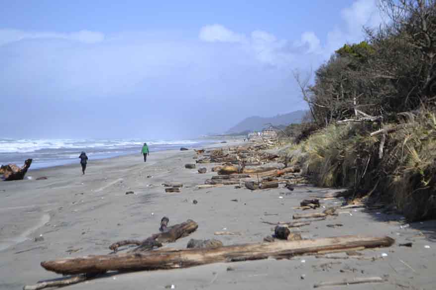 The high tide after a stormy night litters the beach with driftwood.