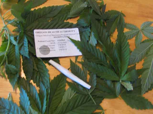 My Medical Marijuana Card enables to purchase all kinds of marijuana products without being taxed.